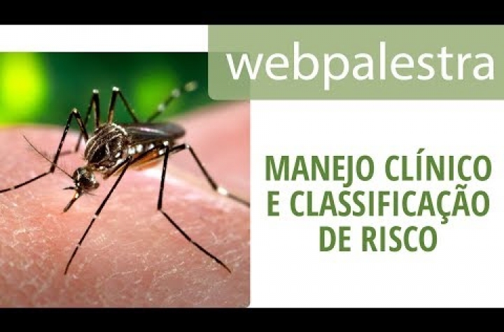 Webpalestra - Manejo clnico e classificao de risco para dengue, chi